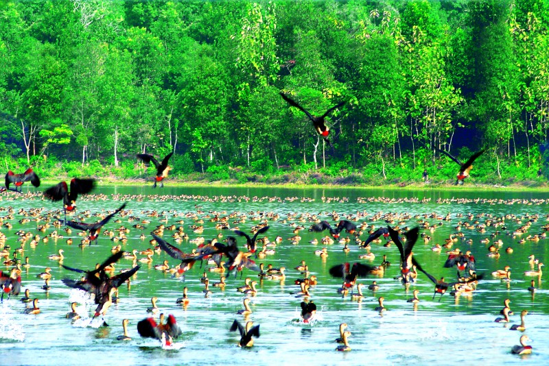 Sepahijala Bird Sanctuary, Tripura - Photo- Courtesy Tripura Tourism Department